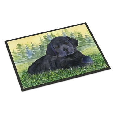 Carolines Treasures SS8343JMAT Labrador Doormat 24x36 36"L x 24"W multicolor