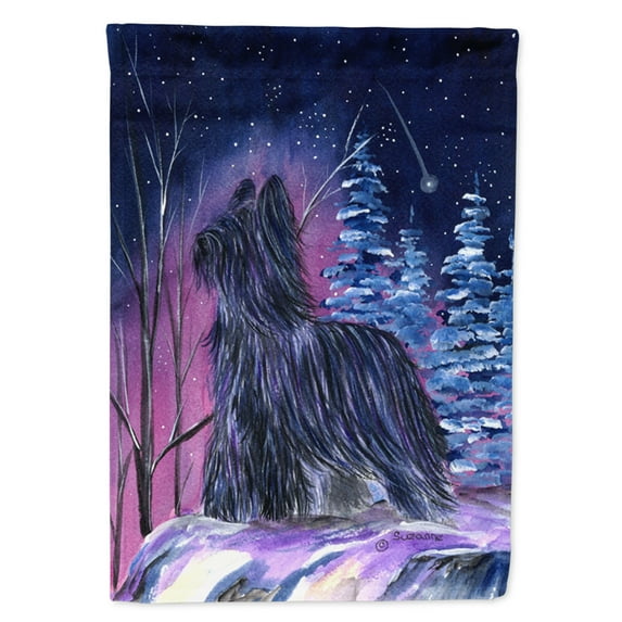 Carolines Treasures SS8366-FLAG-PARENT Starry Night Briard Flag multicolor