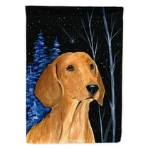 Carolines Treasures SS8379-FLAG-PARENT Starry Night Dachshund Flag multicolor