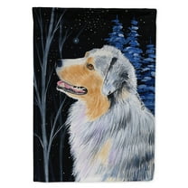 Carolines Treasures SS8382-FLAG-PARENT Starry Night Australian Shepherd Flag  multicolor