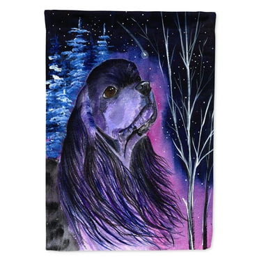 Carolines Treasures SS8385-FLAG-PARENT Starry Night Cocker Spaniel Flag  multicolor