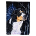 thumbnail image 1 of Carolines Treasures SS8393-FLAG-PARENT Starry Night Bernese Mountain Dog Flag  multicolor, 1 of 1