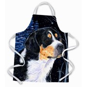 Carolines Treasures SS8393APRON Starry Night Bernese Mountain Dog Apron Large multicolor