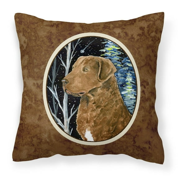 Carolines Treasures SS8411PW1414 Starry Night Chesapeake Bay Retriever Fabric Decorative Pillow, 14Hx14W, multicolor