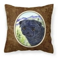 thumbnail image 1 of Carolines Treasures SS8420PW1414 Pug Fabric Decorative Pillow, 14Hx14W, multicolor, 1 of 4