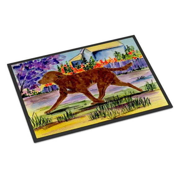 Carolines Treasures SS8435JMAT Chesapeake Bay Retriever Doormat 24x36 36"L x 24"W multicolor