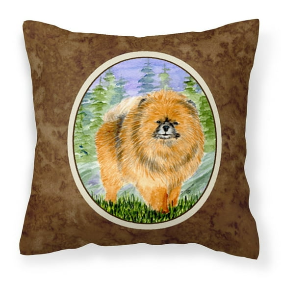 Carolines Treasures SS8459PW1414 Pomeranian Decorative Canvas Fabric Pillow, Large, Multicolor