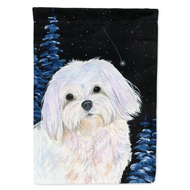Carolines Treasures SS8460-FLAG-PARENT Starry Night Maltese Flag  multicolor