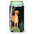 thumbnail image 1 of Carolines Treasures SS8479TBC Starry Night Rhodesian Ridgeback Tall Boy Hugger Tall Boy multicolor, 1 of 1