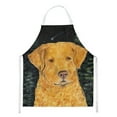 thumbnail image 1 of Carolines Treasures SS8487APRON Starry Night Chesapeake Bay Retriever Apron Large multicolor, 1 of 4
