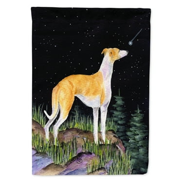 Carolines Treasures SS8492-FLAG-PARENT Starry Night Whippet Flag  multicolor