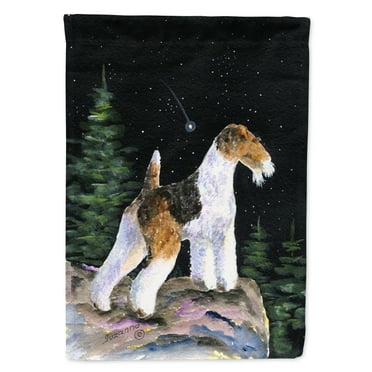 Carolines Treasures SS8500-FLAG-PARENT Starry Night Fox Terrier Flag  multicolor