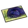 thumbnail image 1 of Carolines Treasures SS8520JMAT Briard Doormat 24x36 36"L x 24"W multicolor, 1 of 4