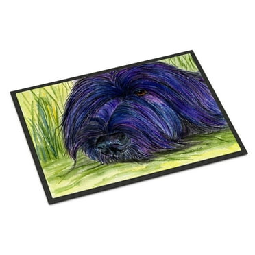 Carolines Treasures SS8520JMAT Briard Doormat 24x36 36"L x 24"W multicolor