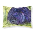 thumbnail image 1 of Carolines Treasures SS8520PILLOWCASE Briard Fabric Standard Pillowcase Standard multicolor, 1 of 2