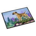 thumbnail image 1 of Carolines Treasures SS8664JMAT Border Terrier Doormat 24x36 36"L x 24"W multicolor, 1 of 4