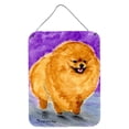 thumbnail image 1 of Caroline's Treasures SS8681DS1216 Pomeranian Wall or Door Hanging Prints, 12x16, multicolor, 1 of 2
