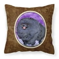 thumbnail image 1 of Carolines Treasures SS8686PW1414 Pomeranian Fabric Decorative Pillow, 14Hx14W, multicolor, 1 of 4