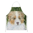 thumbnail image 1 of Carolines Treasures SS8732APRON Australian Shepherd Apron Large multicolor, 1 of 4