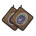 thumbnail image 1 of Carolines Treasures SS8822PTHD Schipperke Pair of Pot Holders, 7.5HX7.5W, multicolor, 1 of 3