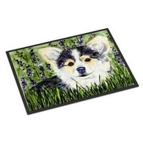 Carolines Treasures SS8824JMAT Chihuahua Doormat 24x36 36"L x 24"W multicolor
