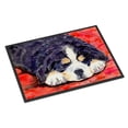 thumbnail image 1 of Carolines Treasures SS8828JMAT Bernese Mountain Dog Doormat 24x36 36"L x 24"W multicolor, 1 of 4