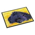 thumbnail image 1 of Carolines Treasures SS8839MAT Pomeranian Doormat 18x27 27"L x 18"W multicolor, 1 of 4
