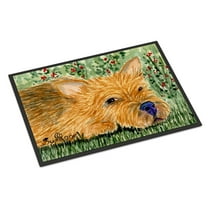 Carolines Treasures SS8862MAT Norwich Terrier Doormat 18x27 27"L x 18"W multicolor