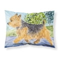 thumbnail image 1 of Carolines Treasures SS8879PILLOWCASE Norwich Terrier Fabric Standard Pillowcase Standard multicolor, 1 of 2