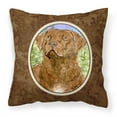 thumbnail image 1 of Carolines Treasures SS8933PW1414 Chesapeake Bay Retriever Fabric Decorative Pillow, 14Hx14W, multicolor, 1 of 4