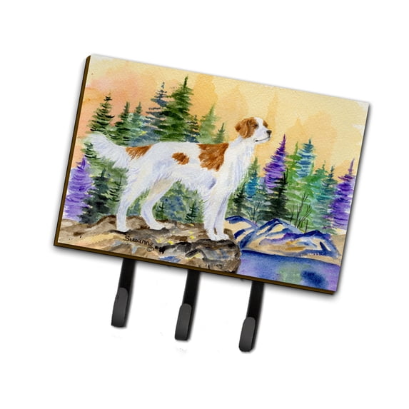 Carolines Treasures SS8146TH68 Setter Leash Holder or Key Hook, Large, Multicolor
