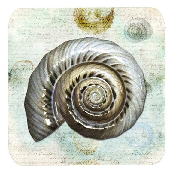 Carolines Treasures Shells Foam Coasters