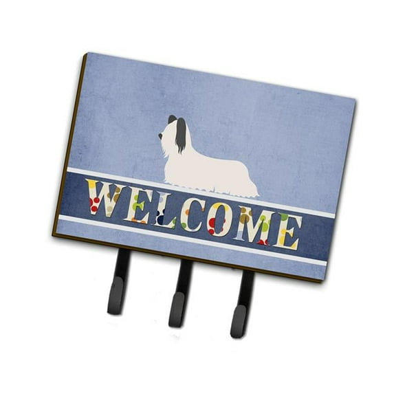 Carolines Treasures  Skye Terrier Welcome Leash or Key Holder - Multi-Colored