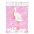 thumbnail image 1 of Carolines Treasures VHA3013CHF Its a Baby Girl Flag Canvas House Size  Large multicolor, 1 of 4