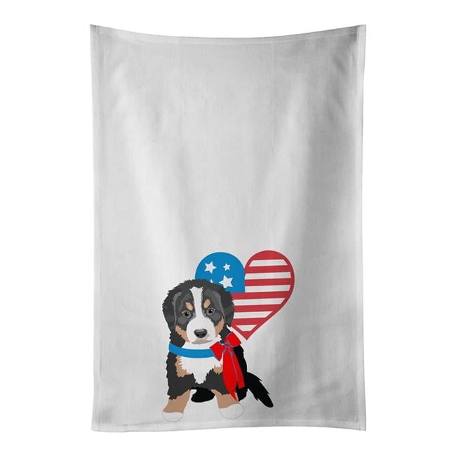 Carolines Treasures CK7458DDM Bernese Mountain Dog in Bathtub Dish