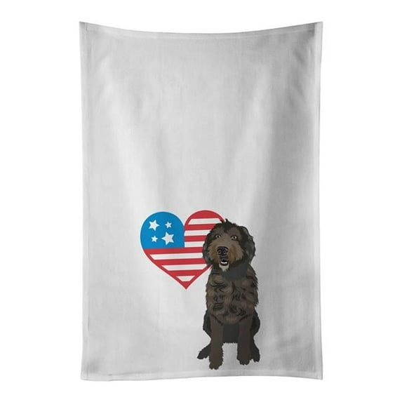 Carolines Treasures WDK4125WTKT 28 x 19 in. Unisex Doodle Chocolate No.1 Patriotic White Dish Towels Kitchen Towel - Set of 2
