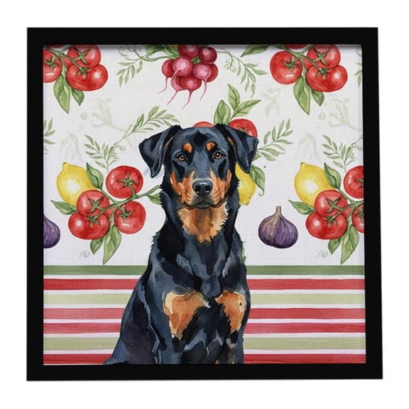 Carolines Treasures WDK8106MFP88 Unisex Beauceron Vegetables Framed Metal Print - 8 x 8 in.