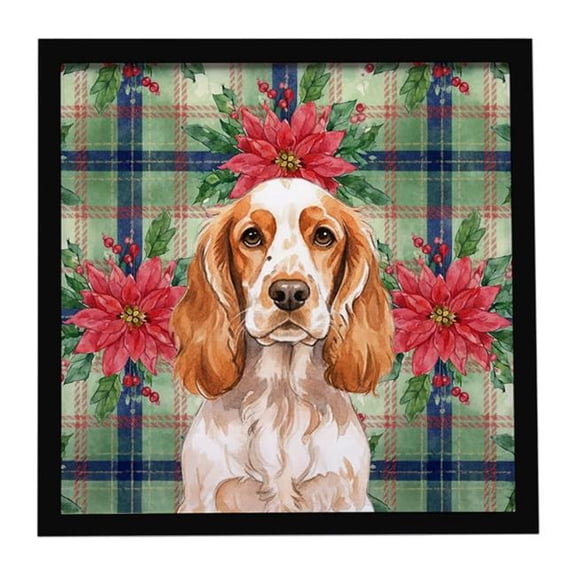 Carolines Treasures WDK8622MFP88 8 x 8 in. Orange Roan English Cocker Spaniel Christmas Poinsettias Framed Metal Print