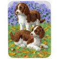 thumbnail image 1 of Carolines Treasures  Welsh Springer Spaniel Pups Glass Cutting Board- Large, 1 of 1