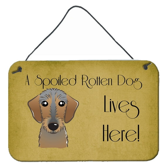 Carolines Treasures BB1481DS812 Wirehaired Dachshund Spoiled Dog Lives Here Wall and Door Hanging Prints