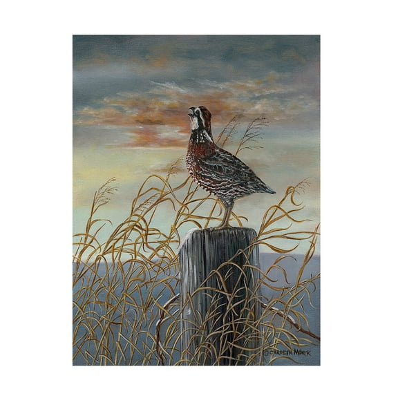 Trademark Fine Art Carolyn Mock Quail On A Post Canvas Wall Art - 18x24
