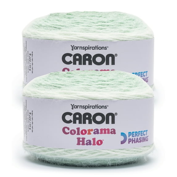 Caron® Colorama Halo™ #5 Bulky Blend Yarn, Rosemary Frost 8oz/227g, 481 Yards (2 Pack)