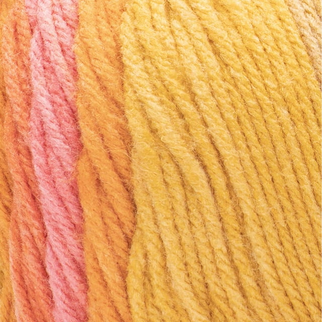 Caron® Jumbo Ombre Yarn
