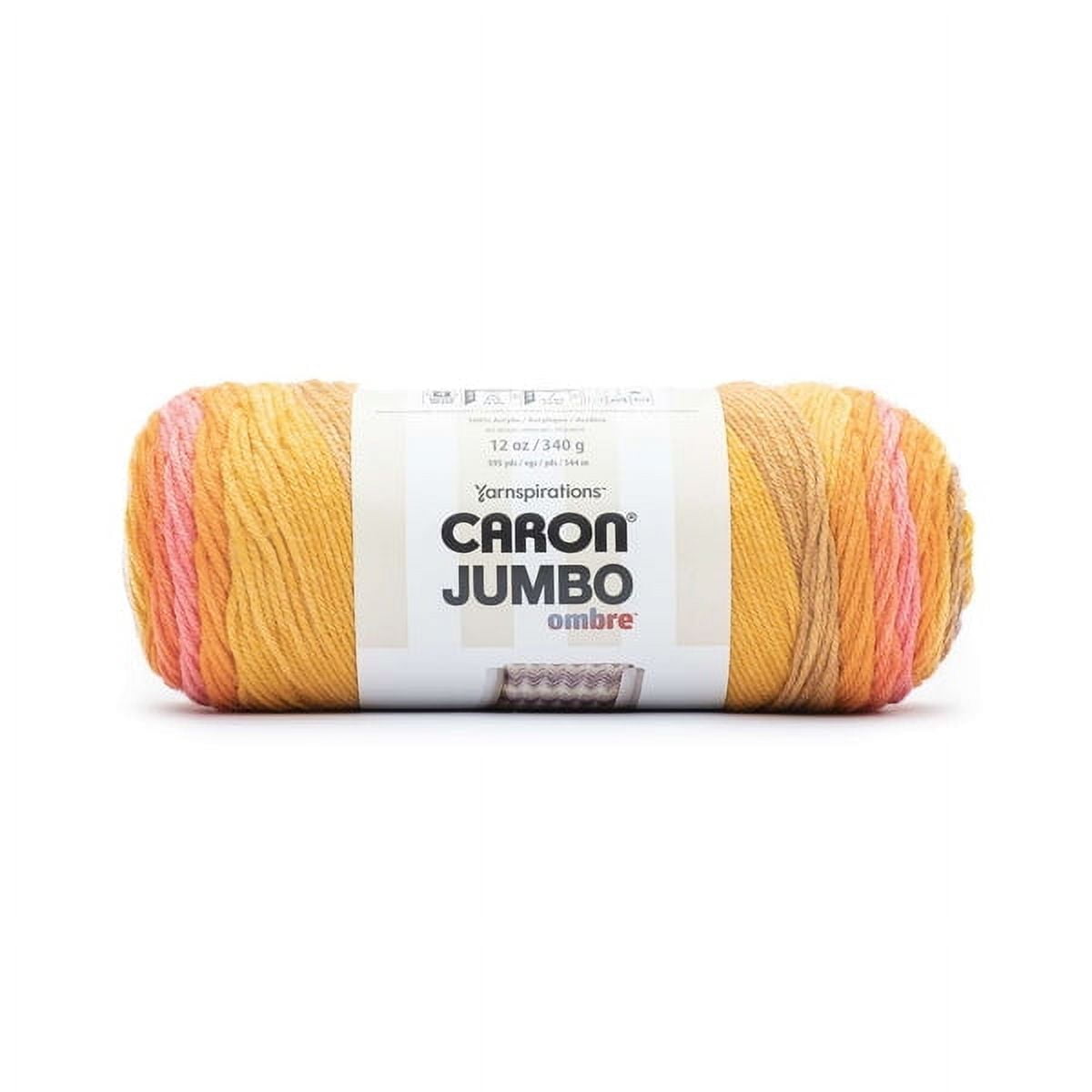 Caron Jumbo Gomitolo Di Lana Acrilica 340g | Colore Seashell Conchiglia | Filato Grosso Per Uncinetto E Maglia, Confezione Da 2