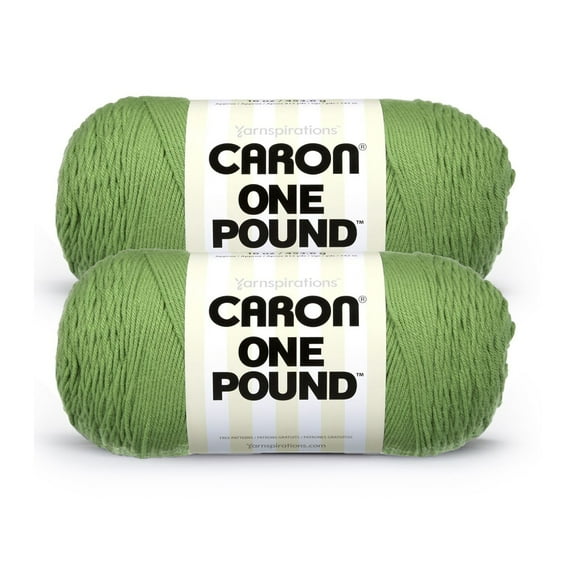 Caron® One Pound™ #4 Medium Acrylic Yarn, Grass Green 16oz/454g, 812 Yards (2 Pack)