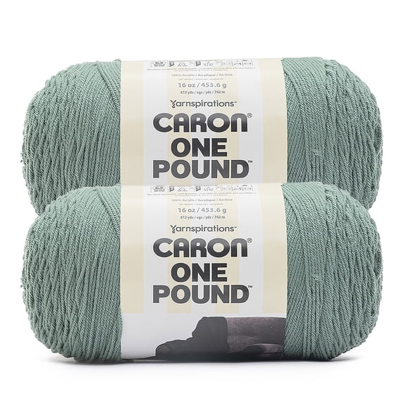 Caron® One Pound™ #4 Medium Acrylic Yarn, Hosta 16oz/454g, 812 Yards (2 Pack)