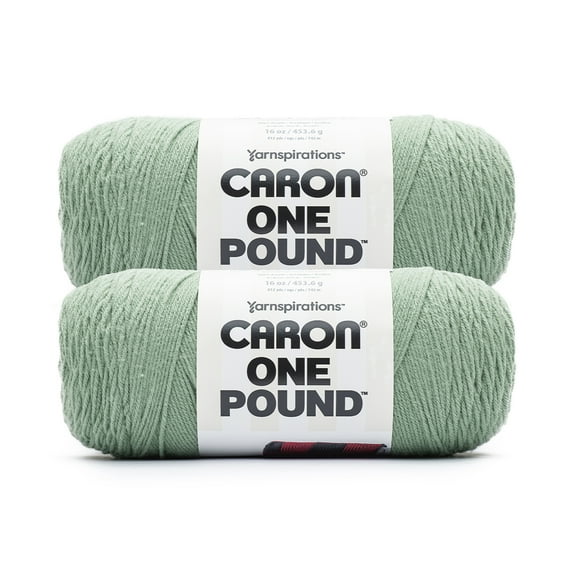 Caron® One Pound™ #4 Medium Acrylic Yarn, Succulent 16oz/454g, 812 Yards (2 Pack)