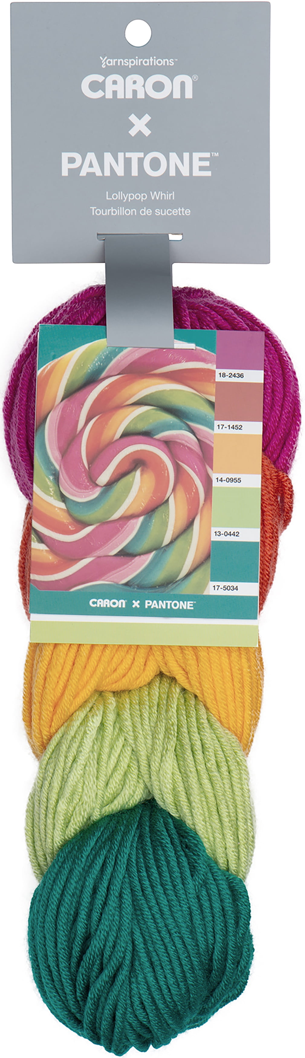 Caron Pantone X Lollipop Whirl 5-Color Knitting & Crochet Yarn ...