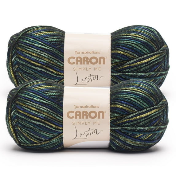 Caron® Simply Me Luster™ #4 Worsted (Medium) Blend Yarn, Adventurine 6oz/170g 360 Yards (2 Pack)