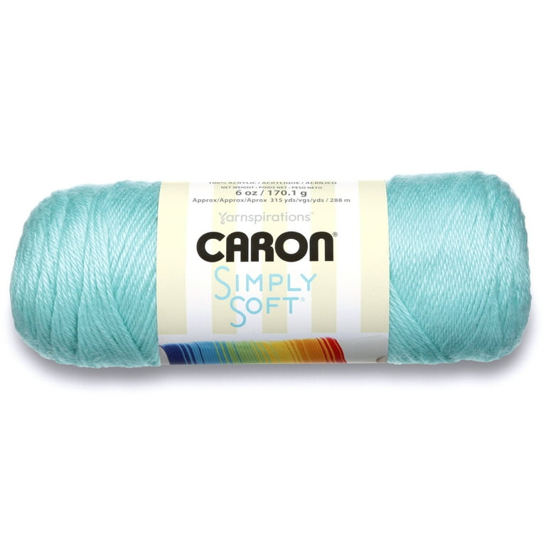 Caron Simply Soft Yarn, Robins Egg